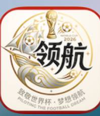 领航国际